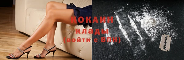 гашик Новозыбков