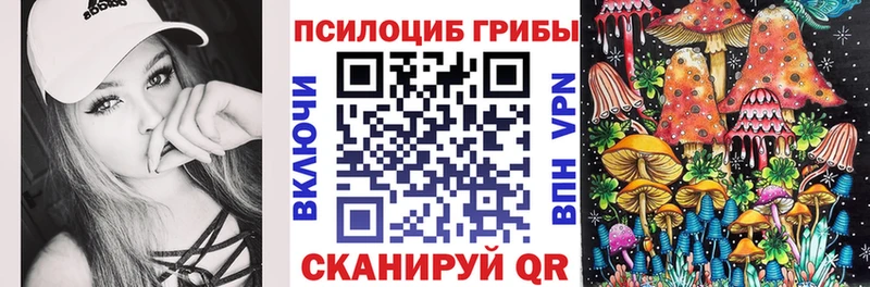 Псилоцибиновые грибы мицелий  darknet клад  Нижние Серги 